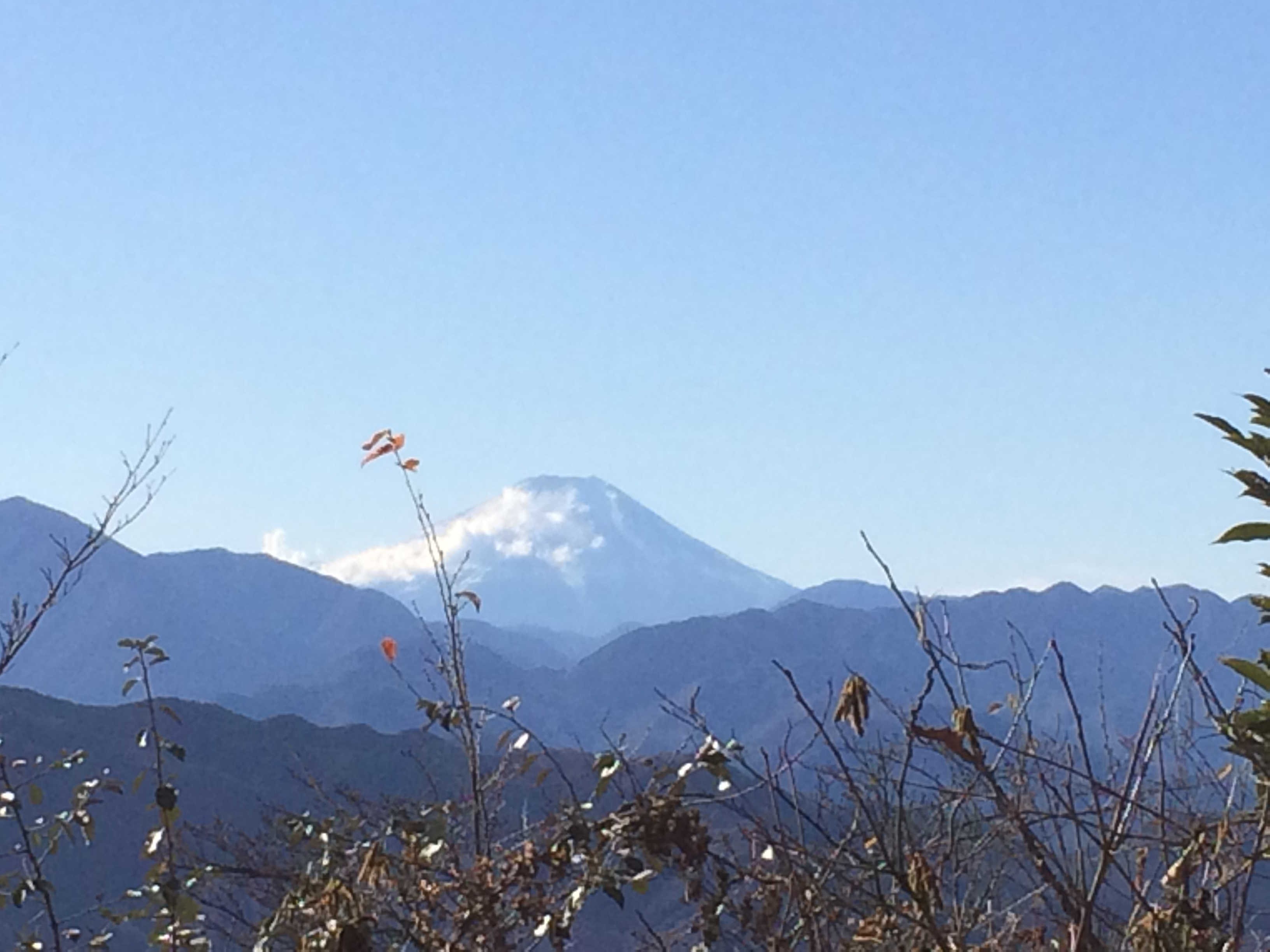晩秋の高尾山　富士山を望む